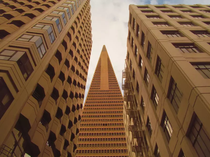 Unpacking Transamerica Life Insurance: What You Really Need to Know